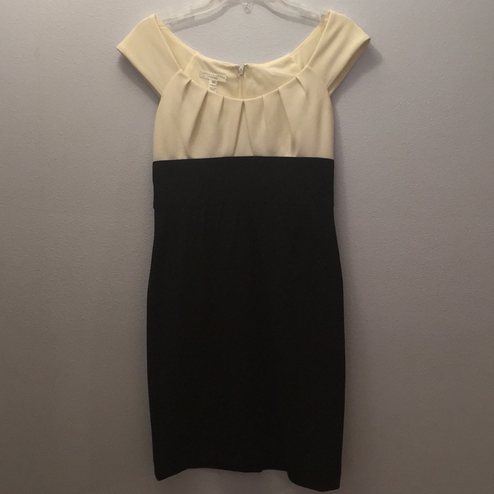 Professional Business Style Dress